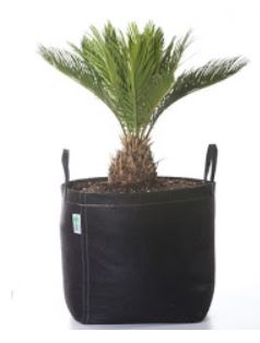 G-Lite w/ handles 11 L (3 gal)