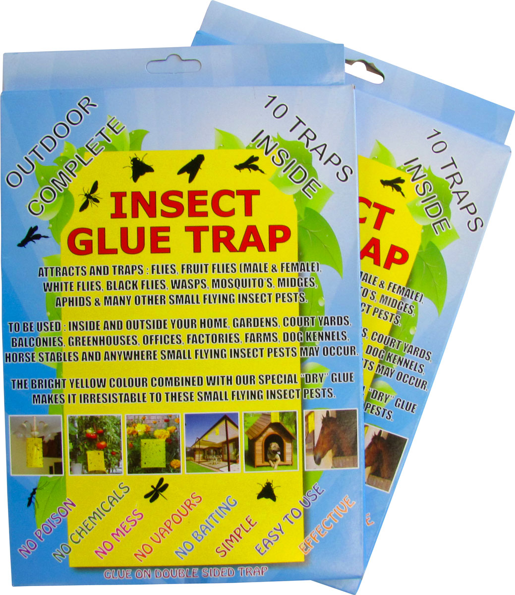 Insect Glue Traps - 10 pack