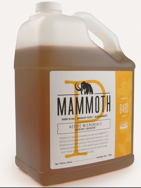 Mammoth P 4 L