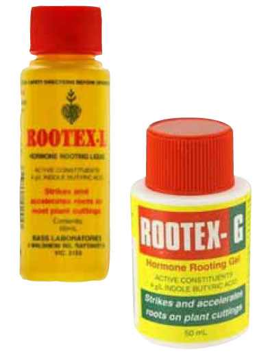 Rootex Liquid 50 mL